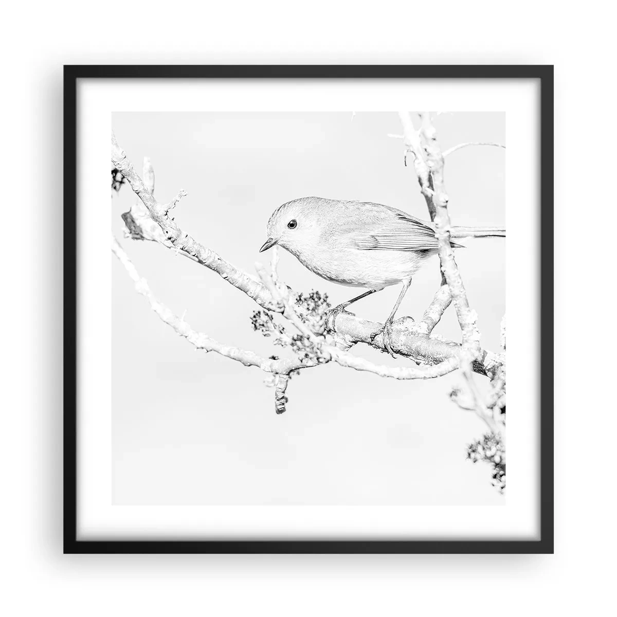 Póster en marco negro - Mañana de invierno - 50x50 cm
