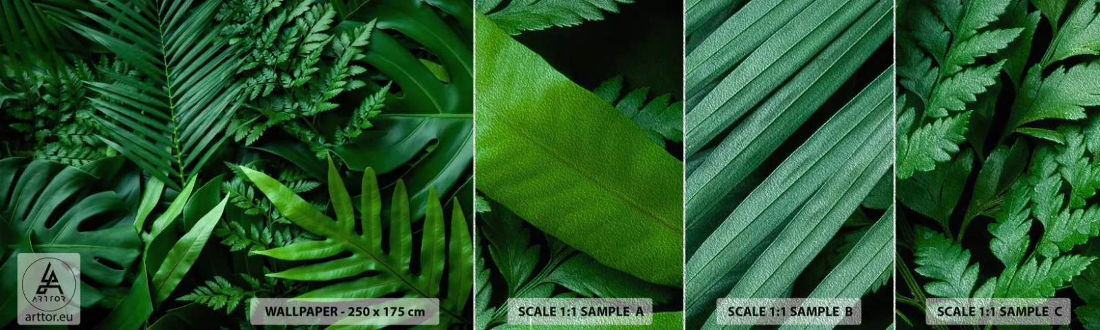 Muestra de fotomural Premium Sand - Abrazo verde - Planta exótica, Hoja de palma, hoja de monstera - 100x30 cm