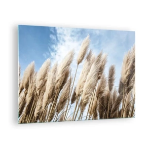 Cuadro sobre vidrio - Impresiones sobre Vidrio - Hierbas de la pampa decorativas contra un cielo azul - 70x50cm - Una caricia soleada y ventosa - Decoración de pared moderna para salón y dormitorio ARTTOR