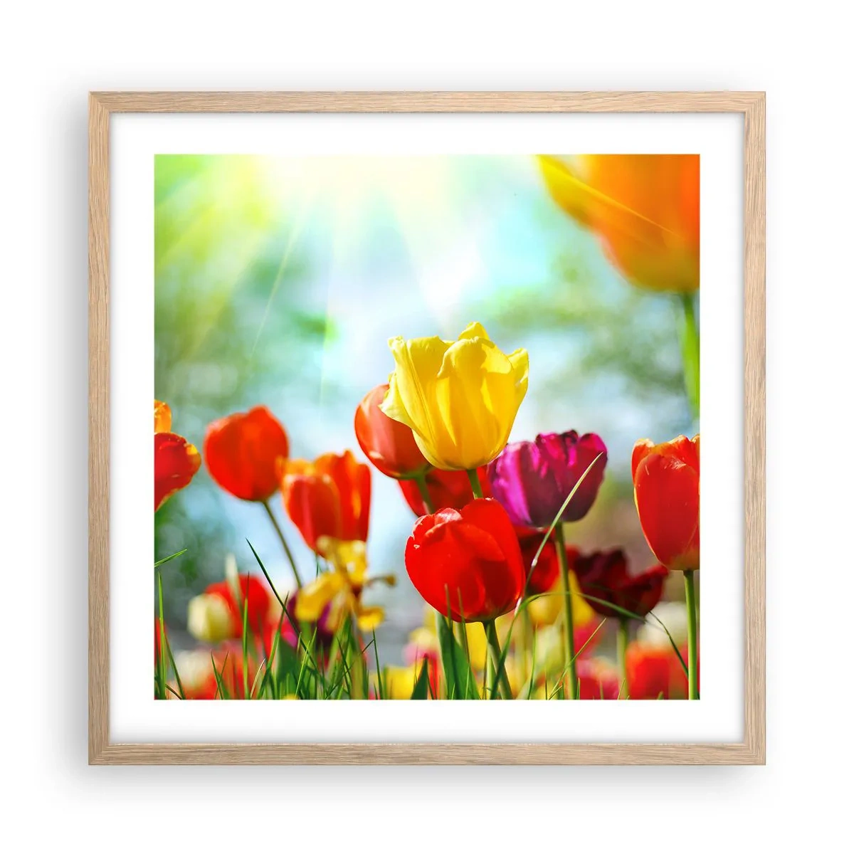 Póster en marco roble claro - Todos los tonos del sol - 50x50 cm
