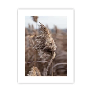 Póster - Es hora de volar con el viento - 30x40 cm