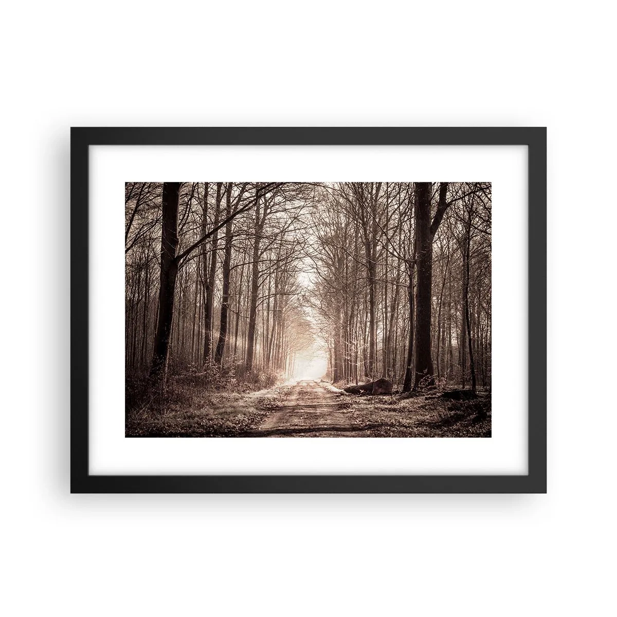 Póster en marco negro - La catedral del bosque - 40x30 cm