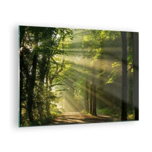 Cuadro sobre vidrio - Impresiones sobre Vidrio - Un camino forestal iluminado por los rayos del sol. - 70x50cm - Un momento en el bosque - Decoración de pared moderna para salón y dormitorio ARTTOR