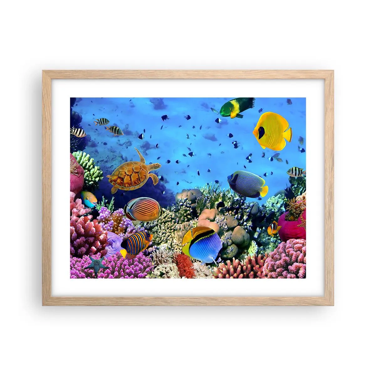 Póster en marco roble claro - Y qué sabemos de la vida... - 50x40 cm