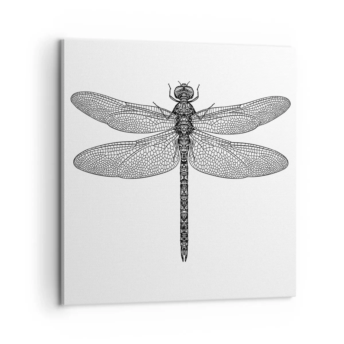 Cuadro sobre lienzo - Impresión de Imagen - Precisión de la naturaleza - 60x60 cm