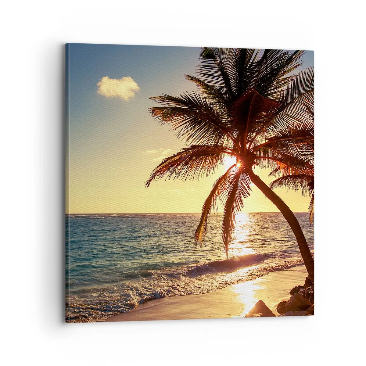 Cuadro sobre lienzo - Impresión de Imagen - Verano bajo las palmeras - 70x70 cm
