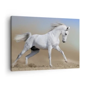 Cuadro sobre lienzo - Impresión de Imagen - Un caballo blanco galopando a través de un paisaje desértico. - 70x50cm - El más bello cuento de hadas árabe - Decoración de pared moderna para salón y dormitorio ARTTOR