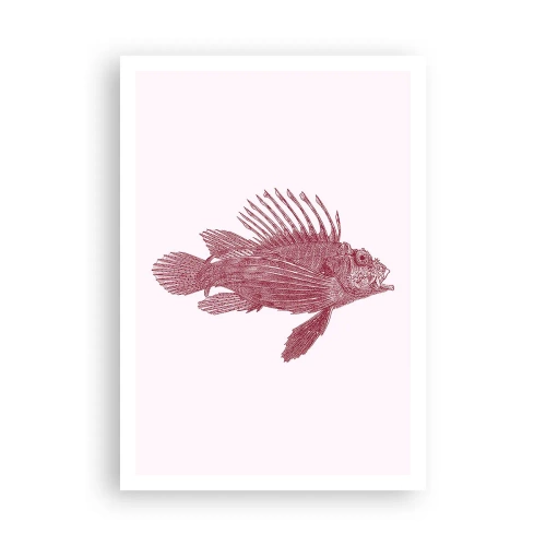 Póster - Un habitante de aguas exóticas - 70x100 cm