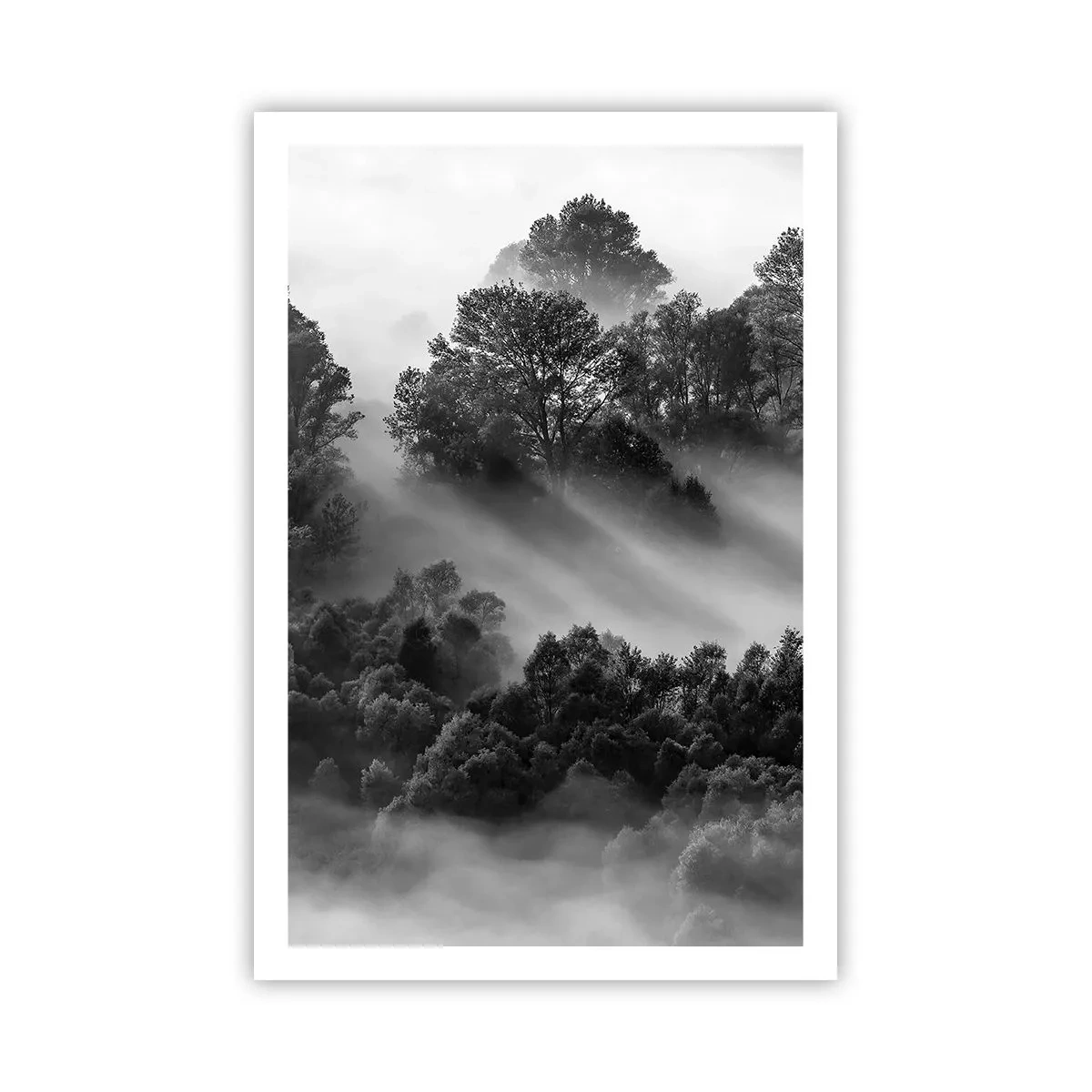 Póster - Levantarse del sueño - 61x91 cm