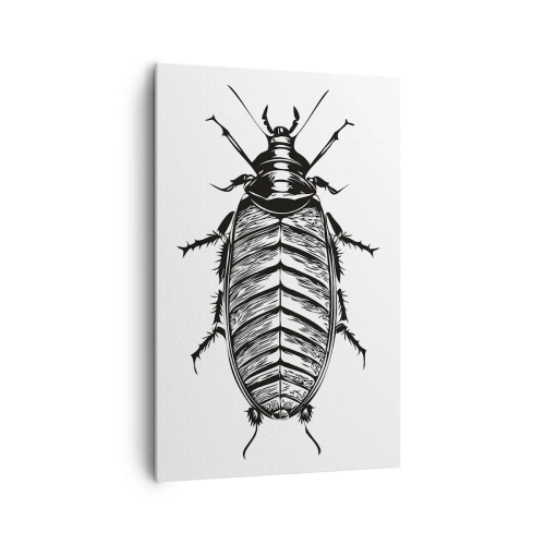 Cuadro sobre lienzo - Impresión de Imagen - Gráfico de un insecto en blanco y negro sobre un fondo blanco. - 80x120cm - ¡Qué espécimen! - Decoración de pared moderna para salón y dormitorio ARTTOR