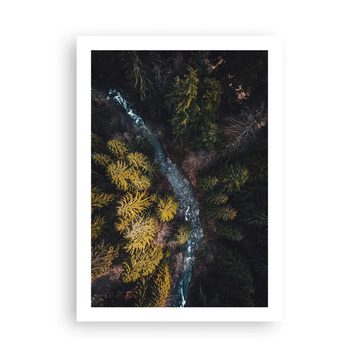 Póster - Una vista de pájaro de un arroyo forestal. - 50x70cm - Rápido, cada vez más rápido - Decoración de pared moderna para salón y dormitorio ARTTOR
