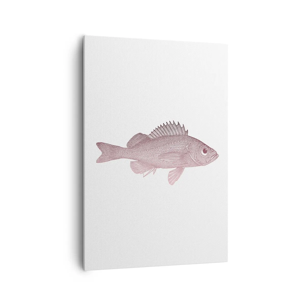 Cuadro sobre lienzo - Impresión de Imagen - Ilustración detallada de un pez sobre un fondo blanco. - 70x100cm - Pez de ojos grandes - Decoración de pared moderna para salón y dormitorio ARTTOR