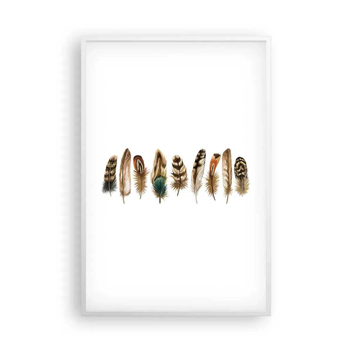 Póster en marco blanco - Estudio de plumas - 61x91 cm