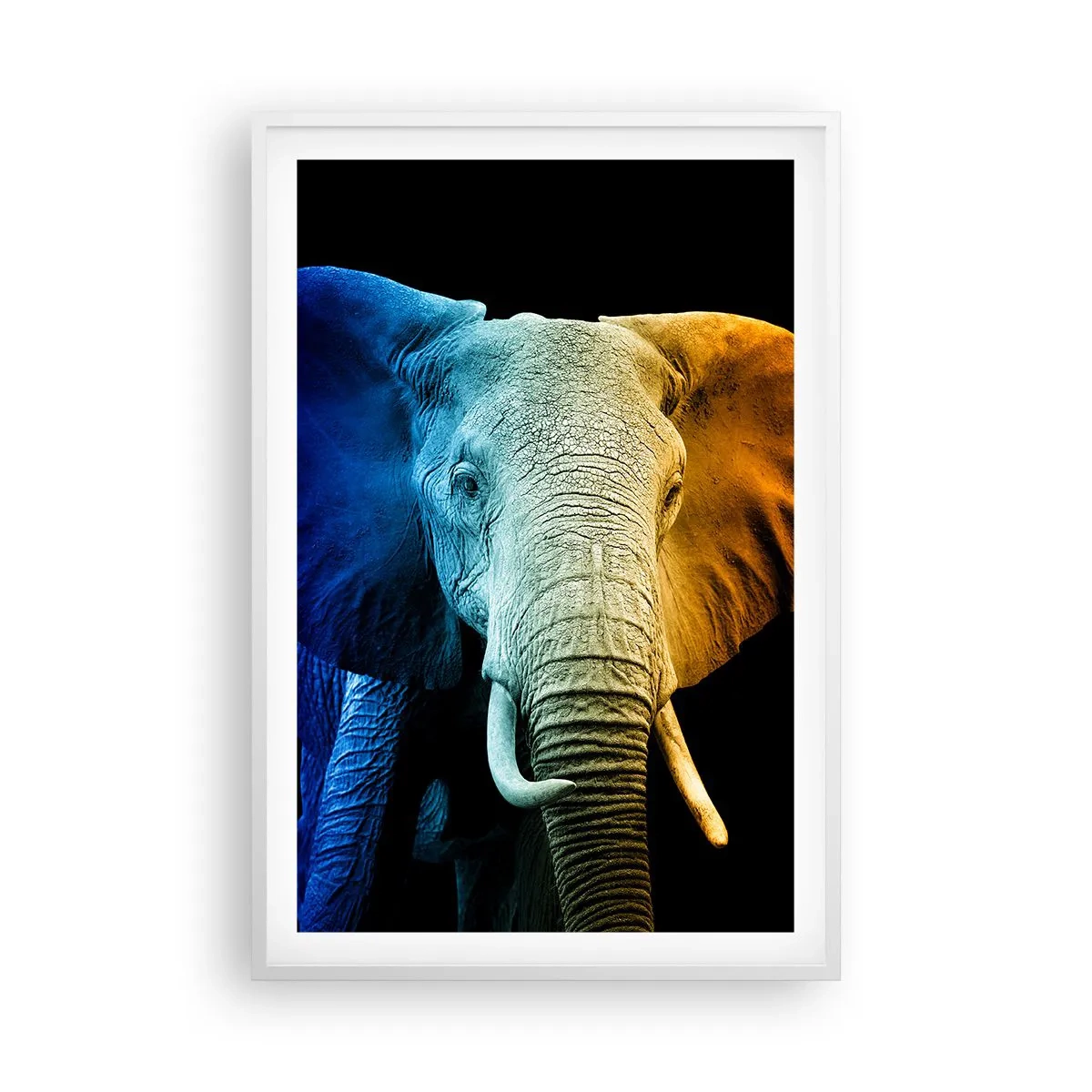 Póster en marco blanco - Excéntrico, no un bicho raro - 61x91 cm