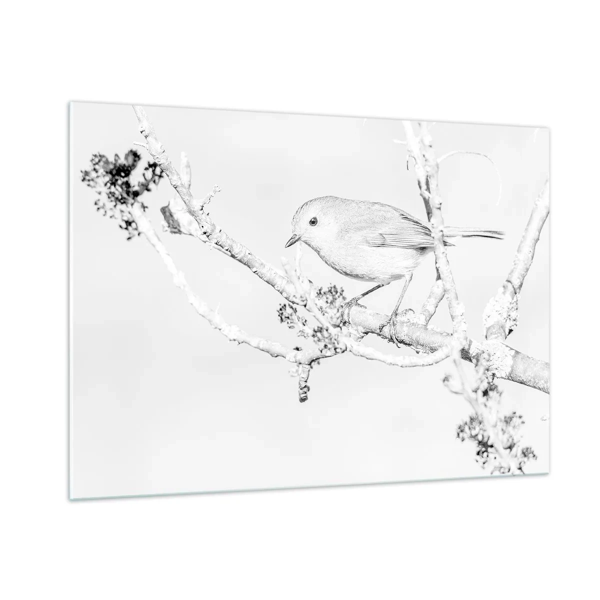 Cuadro sobre vidrio - Impresiones sobre Vidrio - Un pájaro posado en una rama en una escena invernal monocromática. - 100x70cm - Mañana de invierno - Decoración de pared moderna para salón y dormitorio ARTTOR