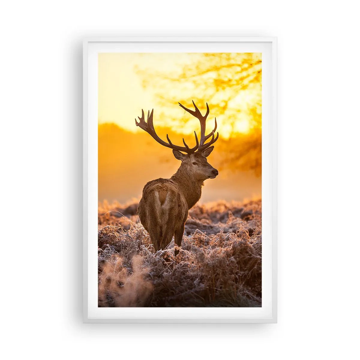 Póster en marco blanco - Rey del bosque de otoño - 61x91 cm
