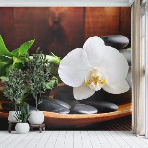 Fotomural Premium Canvas - Ríndete al tacto de la naturaleza - flores, Orquídea, Orquídea - 350x256 cm