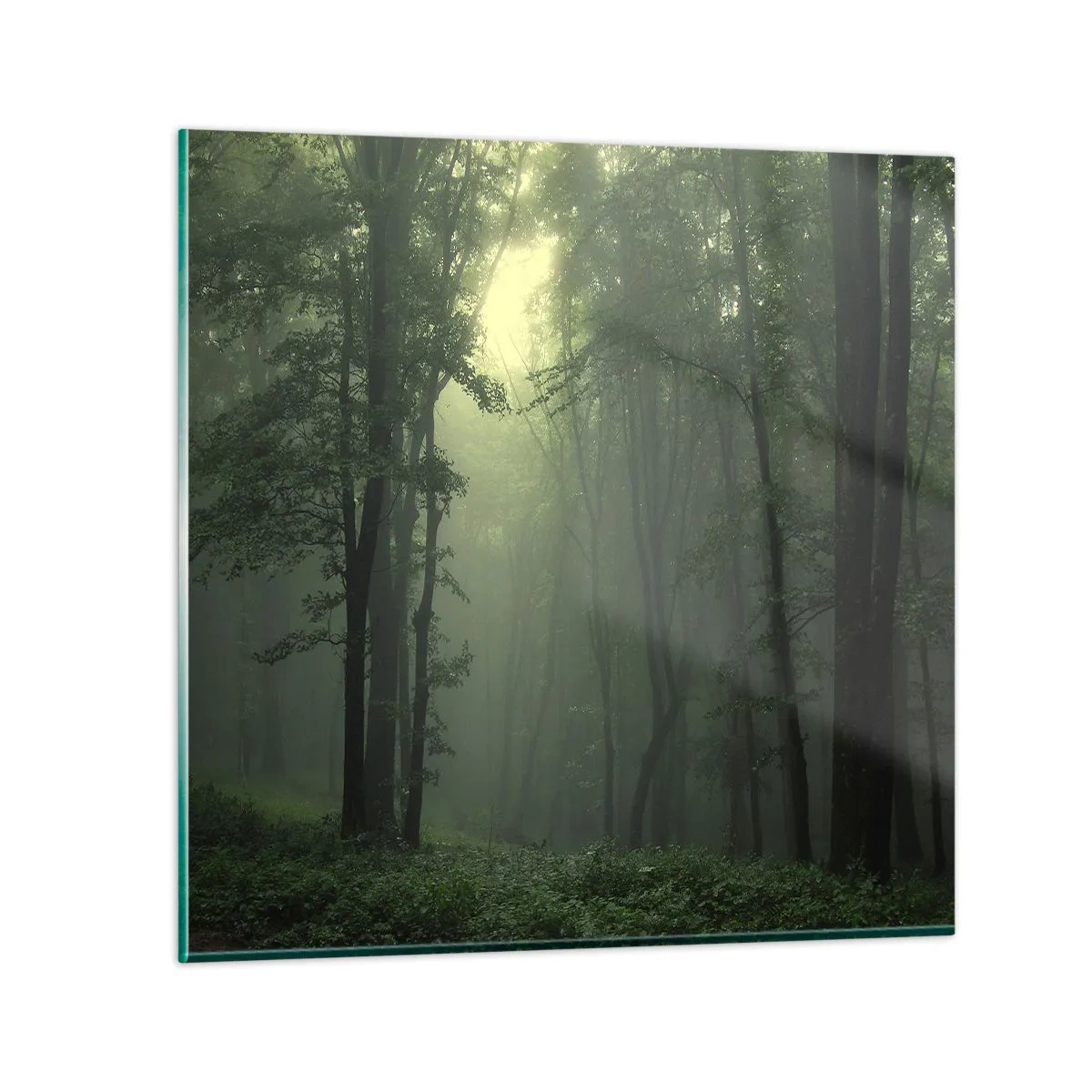 Cuadro sobre vidrio - Impresiones sobre Vidrio - Antes de que se despierte el bosque - 60x60 cm