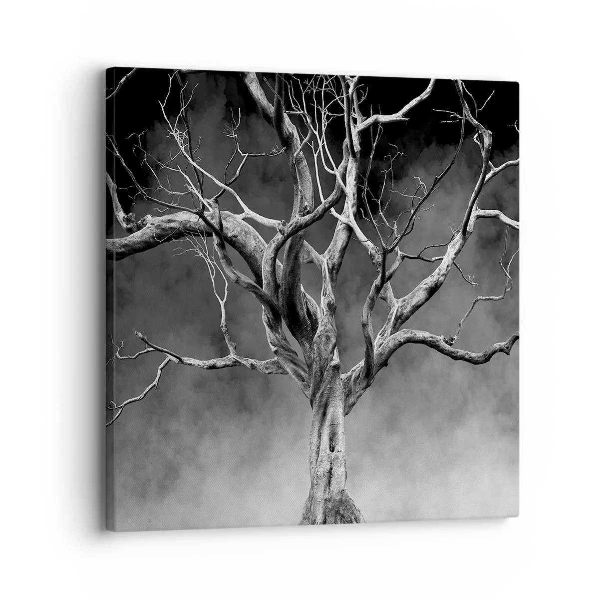 Cuadro sobre lienzo - Impresión de Imagen - Primordial y sagrado - 30x30 cm