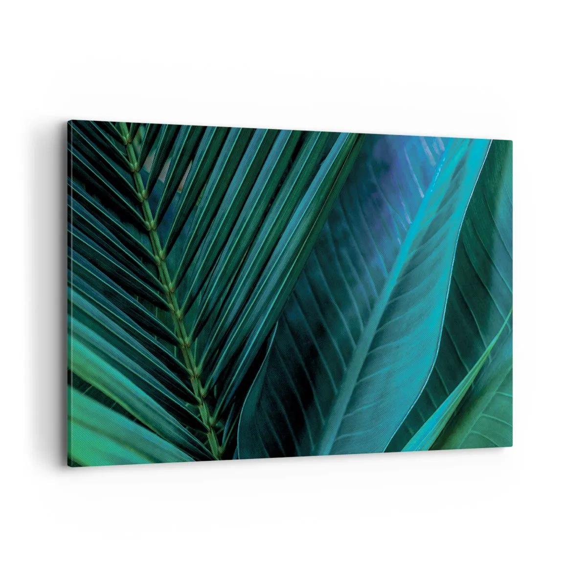Cuadro sobre lienzo - Impresión de Imagen - Primer plano de hojas verdes tropicales - 120x80cm - Anatomía del verde - Decoración de pared moderna para salón y dormitorio ARTTOR
