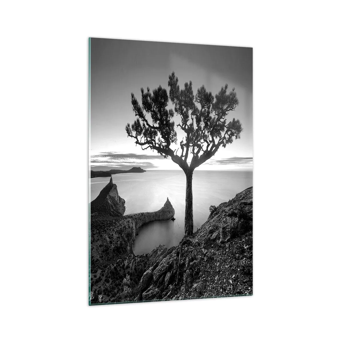 Cuadro sobre vidrio - Impresiones sobre Vidrio - Paisaje en blanco y negro con un árbol solitario en un acantilado sobre el mar. - 70x100cm - Calma hasta el horizonte - Decoración de pared moderna para salón y dormitorio ARTTOR