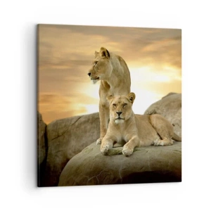 Cuadro sobre lienzo - Impresión de Imagen - Majestuosidad real - 50x50 cm