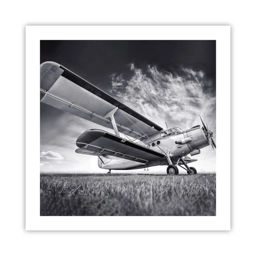 Póster - El vagamundo alado - 50x50 cm