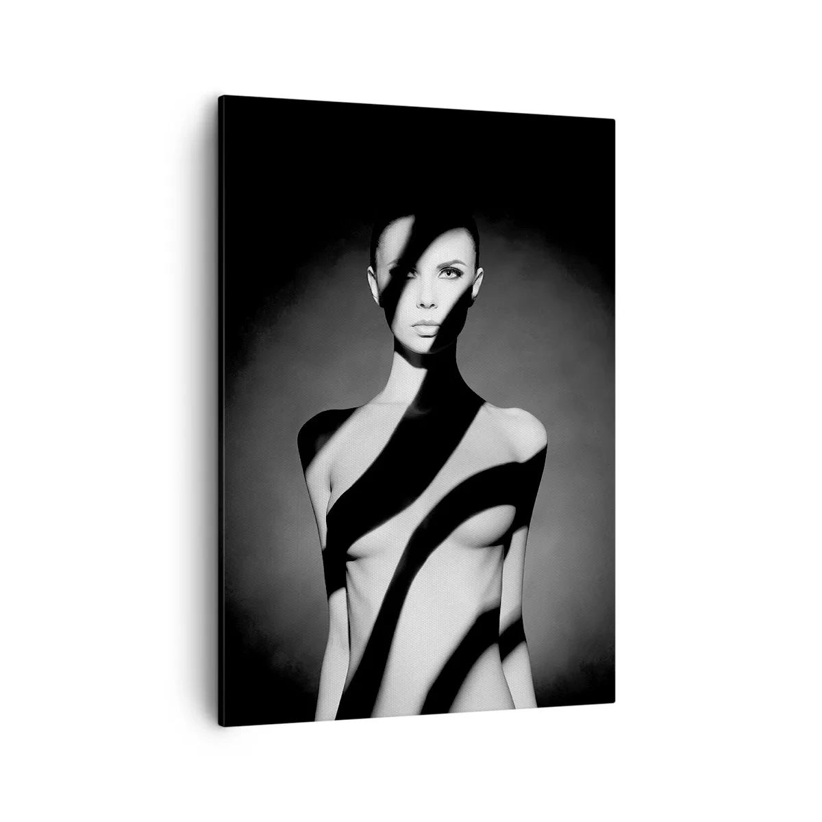 Cuadro sobre lienzo - Impresión de Imagen - Retrato en blanco y negro de una mujer en luz y sombra. - 50x70cm - En la luz y en la sombra - Decoración de pared moderna para salón y dormitorio ARTTOR