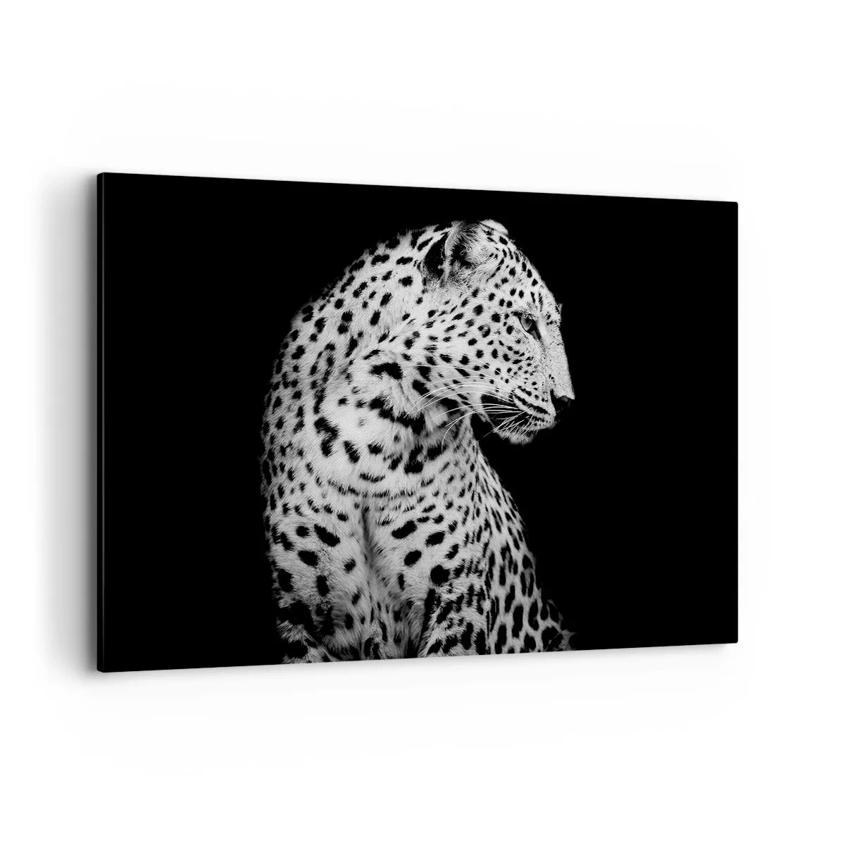 Cuadro sobre lienzo - Impresión de Imagen - Imagen en blanco y negro de un leopardo sobre un fondo negro. - 120x80cm - El perfil derecho es perfecto - Decoración de pared moderna para salón y dormitorio ARTTOR