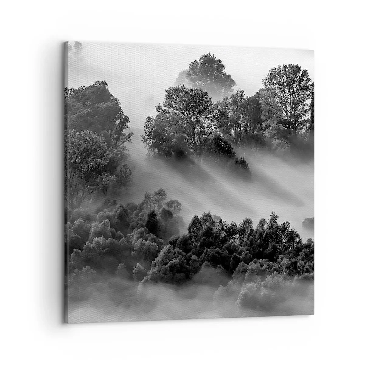 Cuadro sobre lienzo - Impresión de Imagen - Levantarse del sueño - 50x50 cm