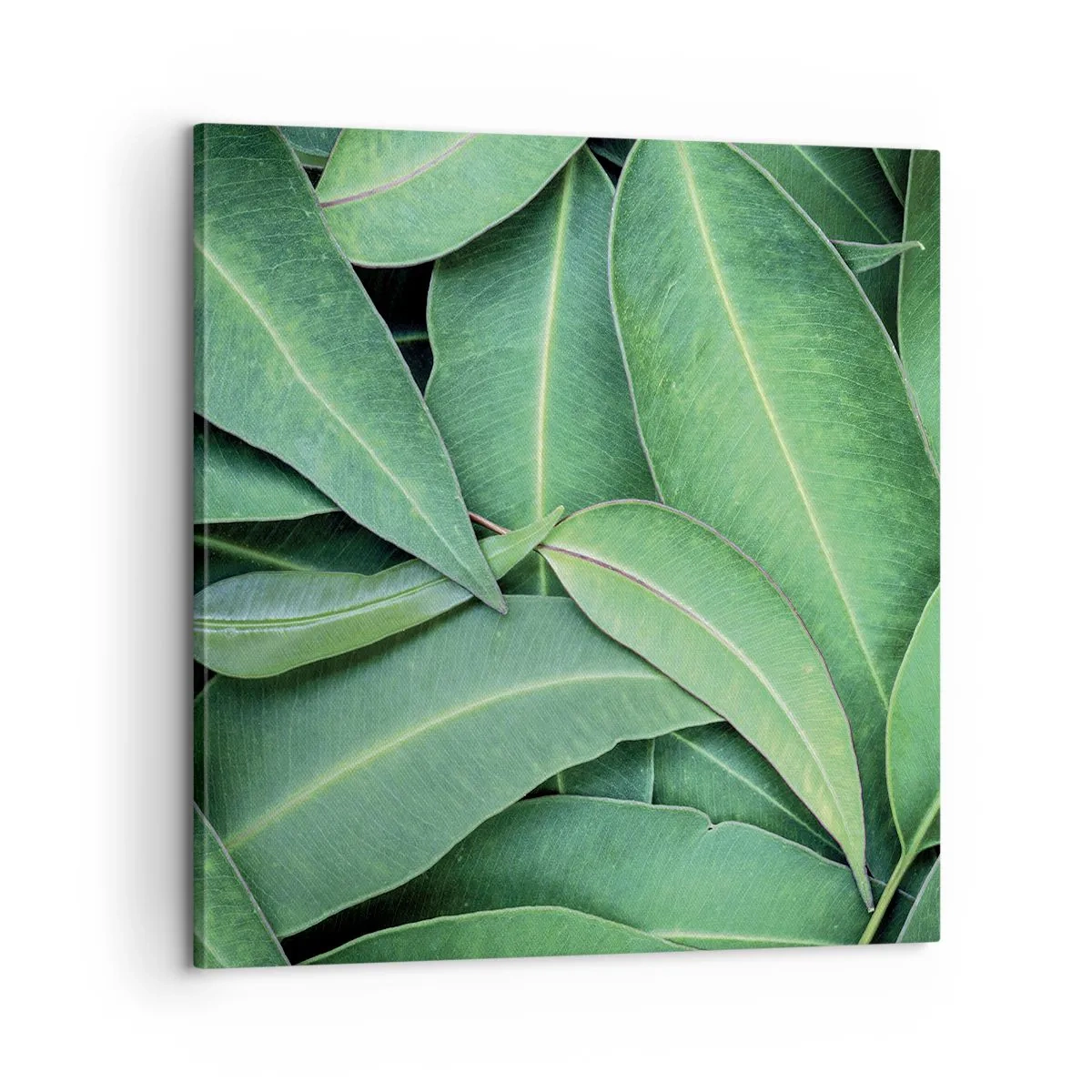 Cuadro sobre lienzo - Impresión de Imagen - Jugosidad y frescura - 60x60 cm