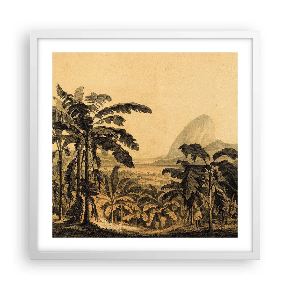 Póster en marco blanco - En un ambiente colonial - 50x50 cm