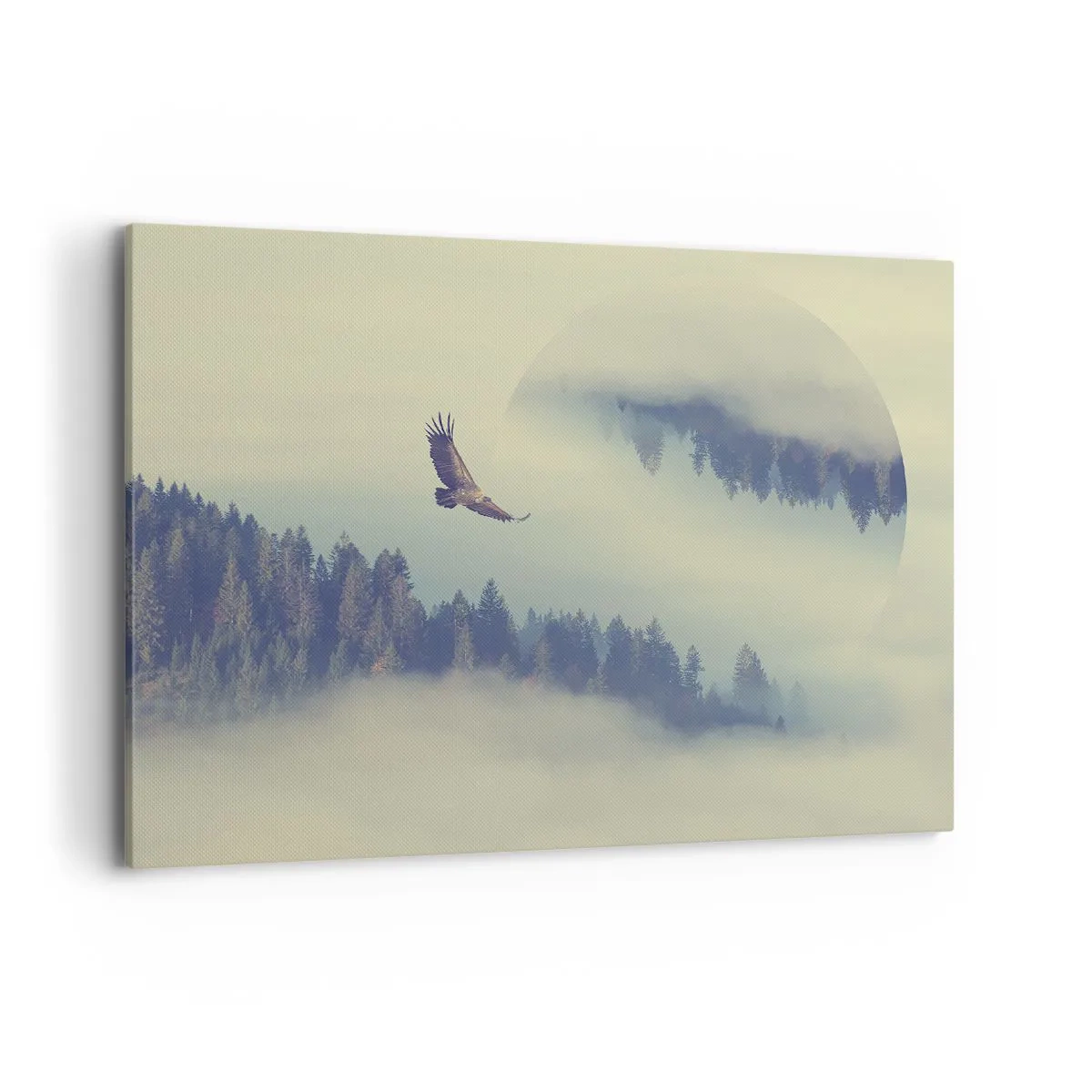 Cuadro sobre lienzo - Impresión de Imagen - Un águila en vuelo con un telón de fondo de montañas brumosas con un motivo circular artístico. - 100x70cm - Vi la sombra de un águila - Decoración de pared moderna para salón y dormitorio ARTTOR
