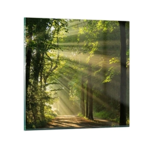 Cuadro sobre vidrio - Impresiones sobre Vidrio - Un momento en el bosque - 70x70 cm
