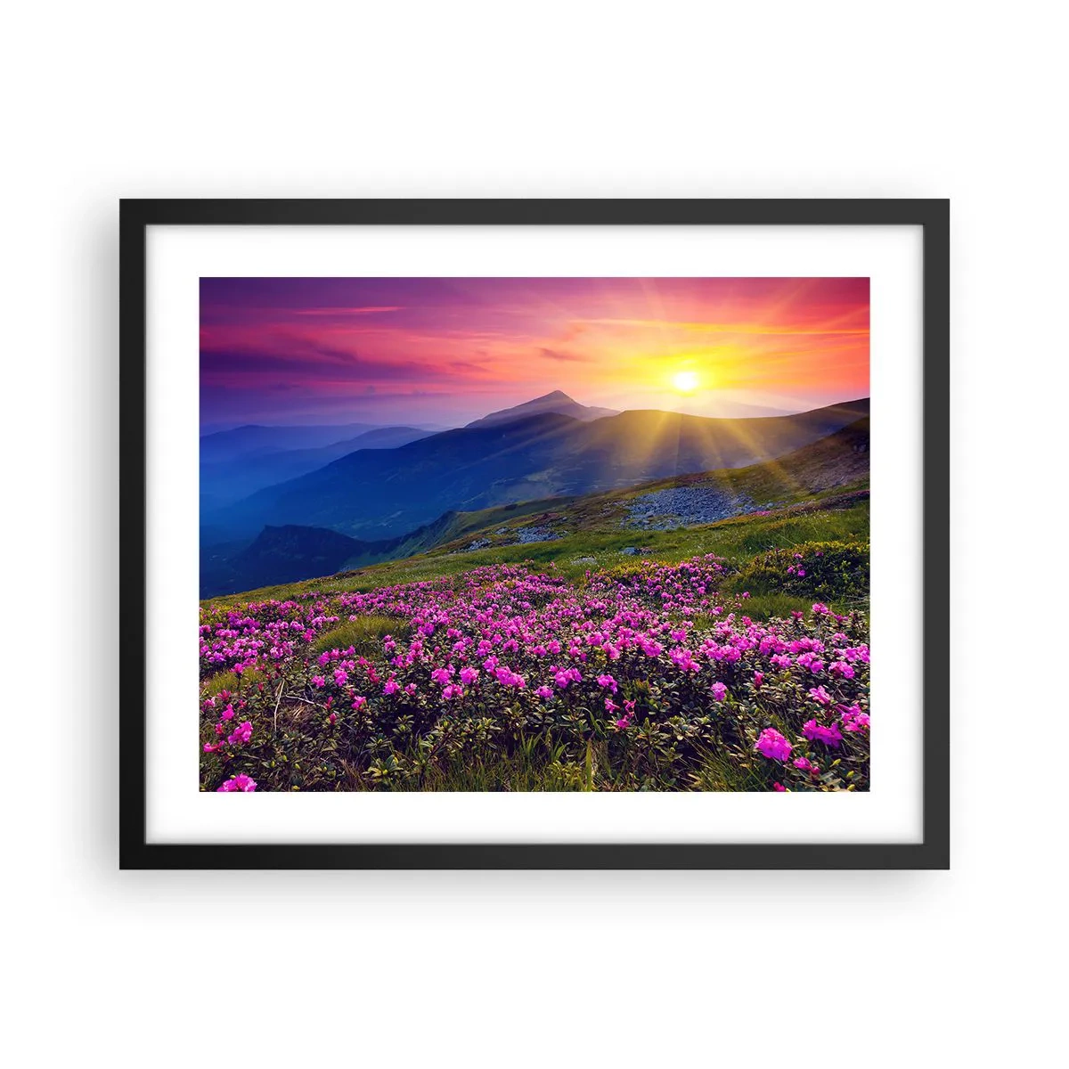 Póster en marco negro - ... Y el aroma a hierbas está por todas partes - 50x40 cm