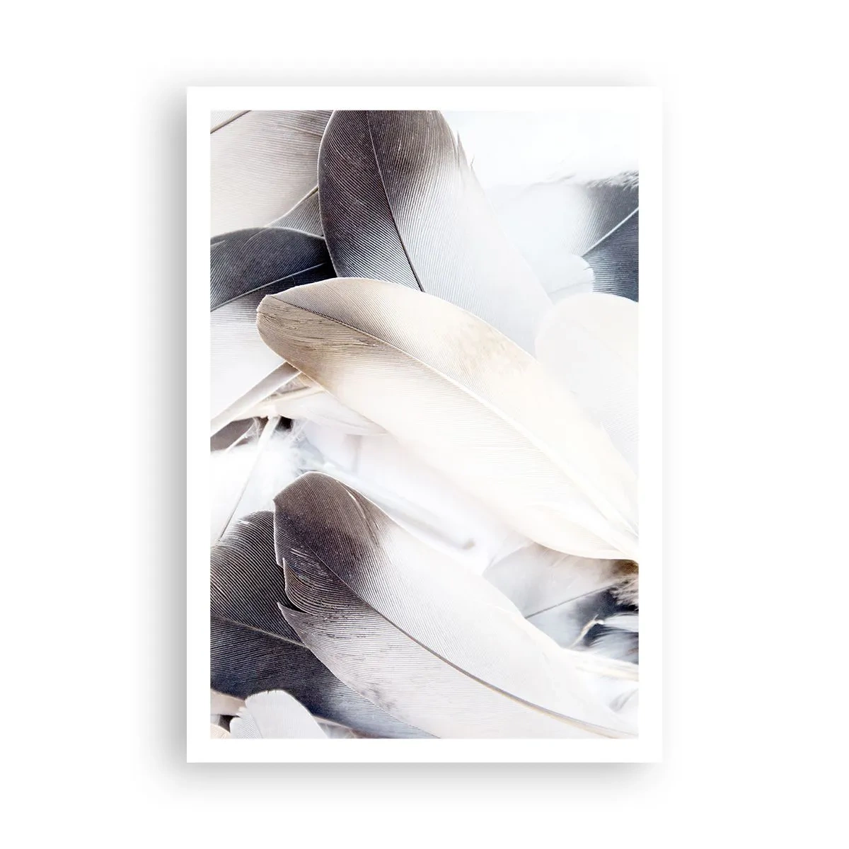 Póster - Casi angelical - 70x100 cm