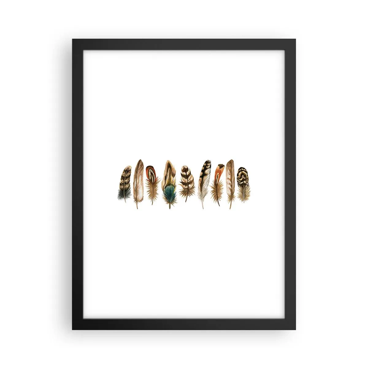 Póster en marco negro - Estudio de plumas - 30x40 cm