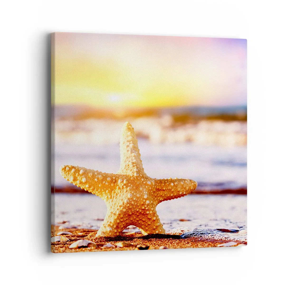 Cuadro sobre lienzo - Impresión de Imagen - Regalo del mar - 40x40 cm