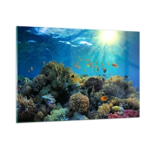 Cuadro sobre vidrio - Impresiones sobre Vidrio - Un colorido arrecife de coral iluminado por los rayos del sol. - 120x80cm - Tesoros submarinos - Decoración de pared moderna para salón y dormitorio ARTTOR