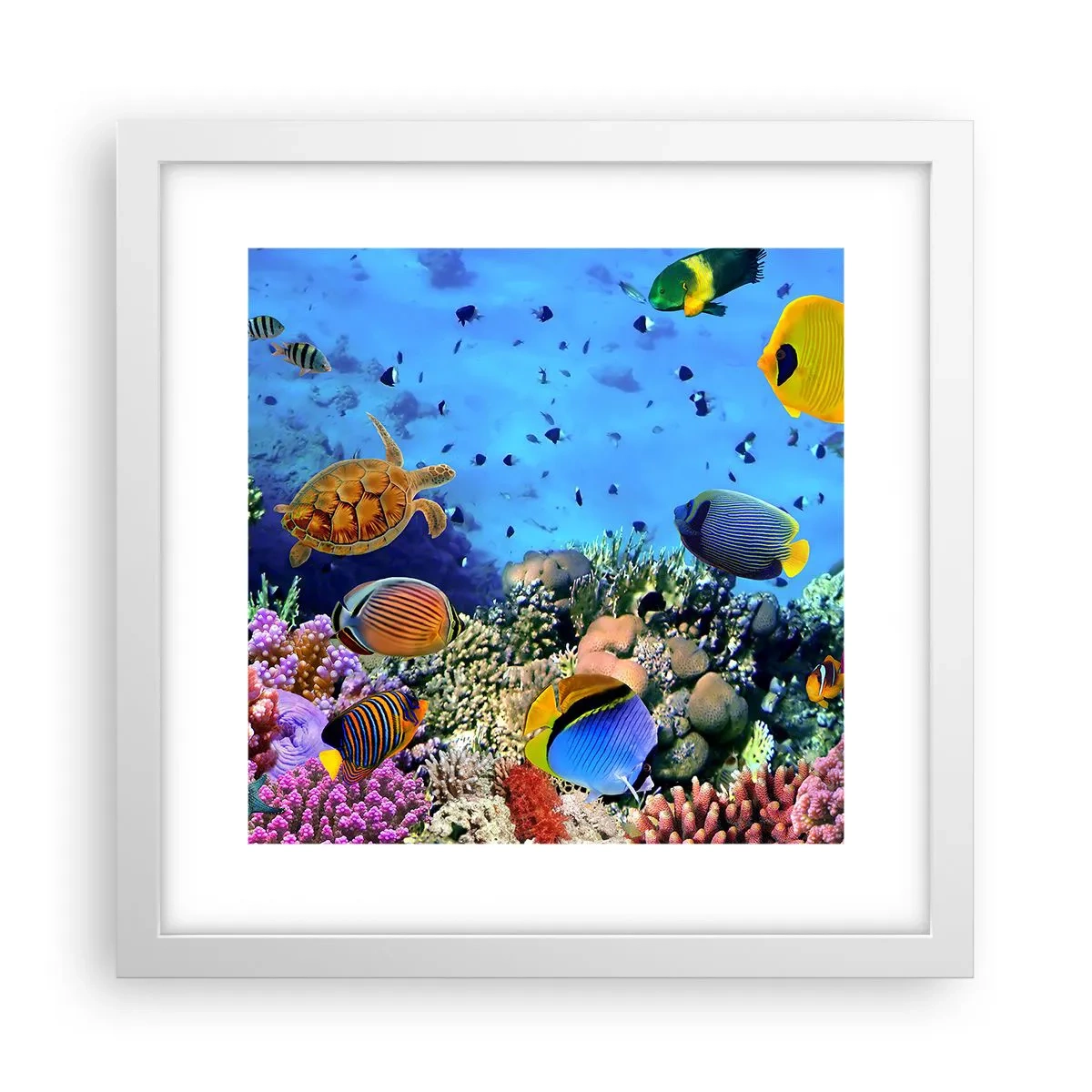 Póster en marco blanco - Y qué sabemos de la vida... - 30x30 cm