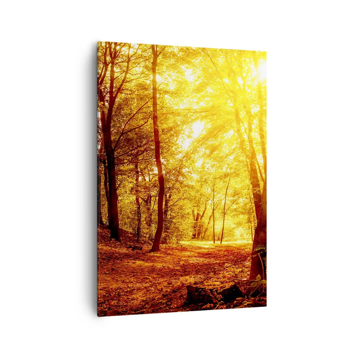 Cuadro sobre lienzo - Impresión de Imagen - Claro de otoño bajo la luz dorada del sol con un sendero forestal - 70x100cm - Hacia un claro de oro - Decoración de pared moderna para salón y dormitorio ARTTOR