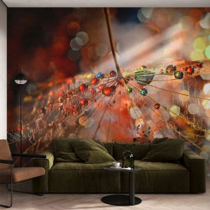 Fotomural Standard Eco - En una tela de araña - Abstracción, telaraña, Pedazo - 350x256 cm