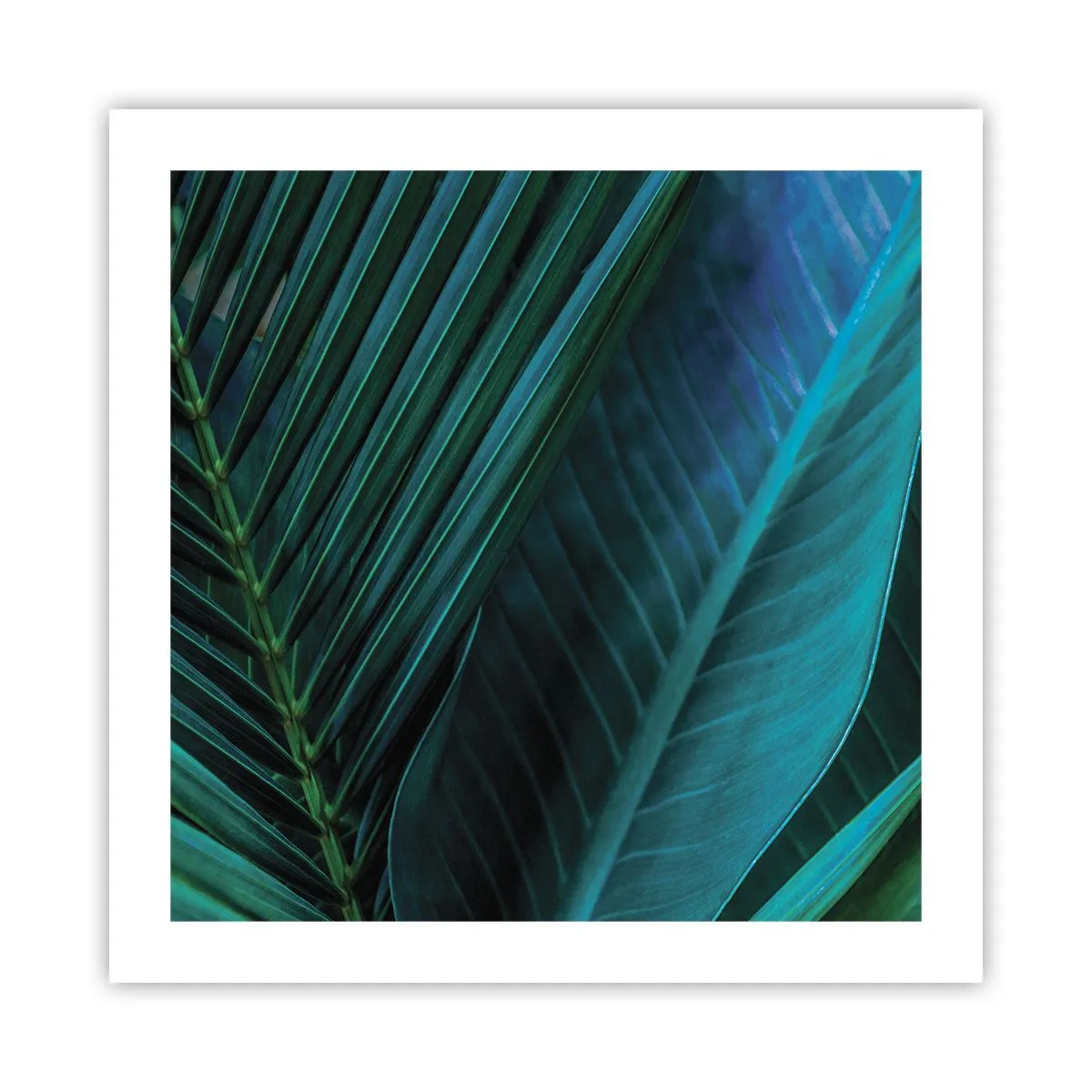 Póster - Anatomía del verde - 50x50 cm