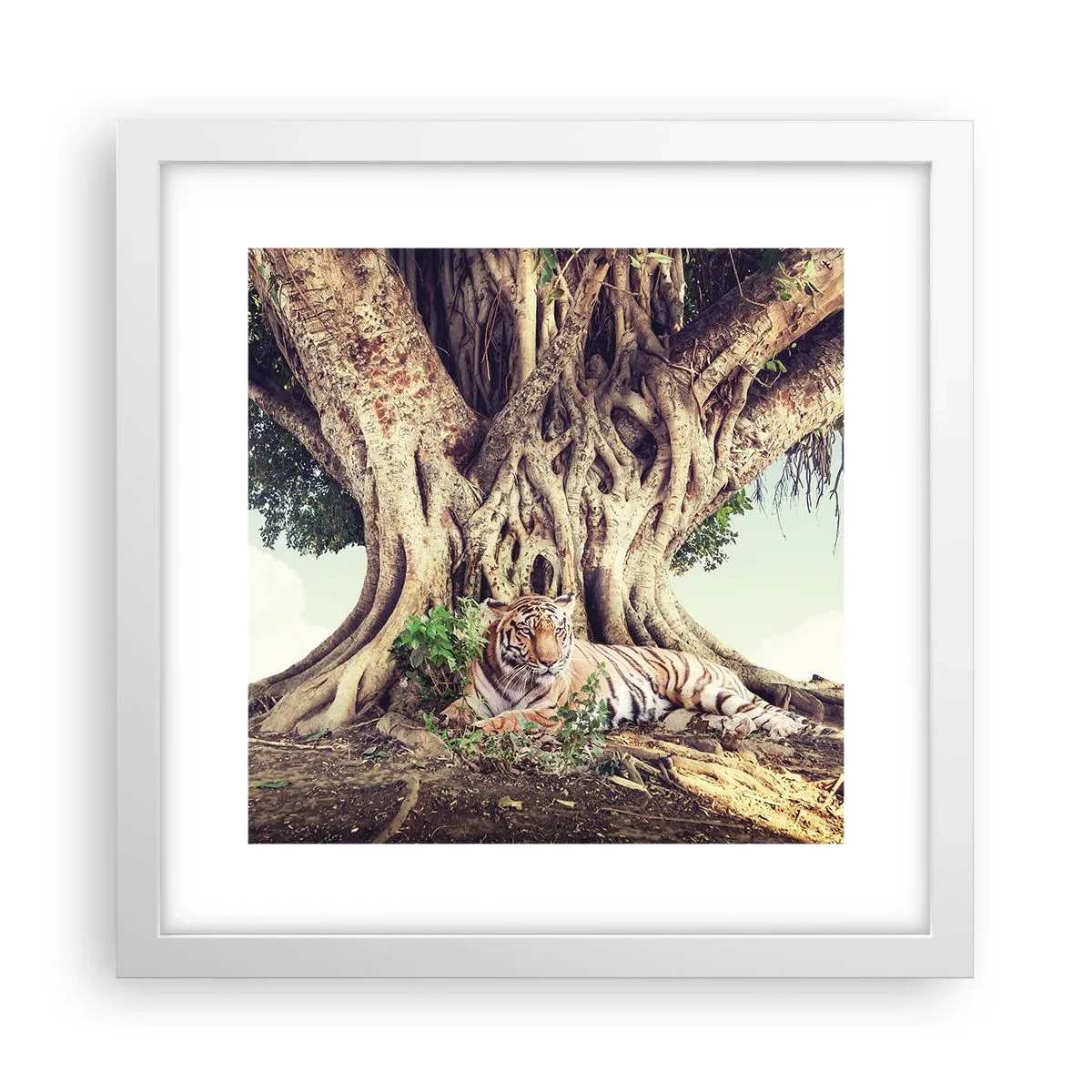 Póster en marco blanco - Una visión desde el Génesis - 30x30 cm