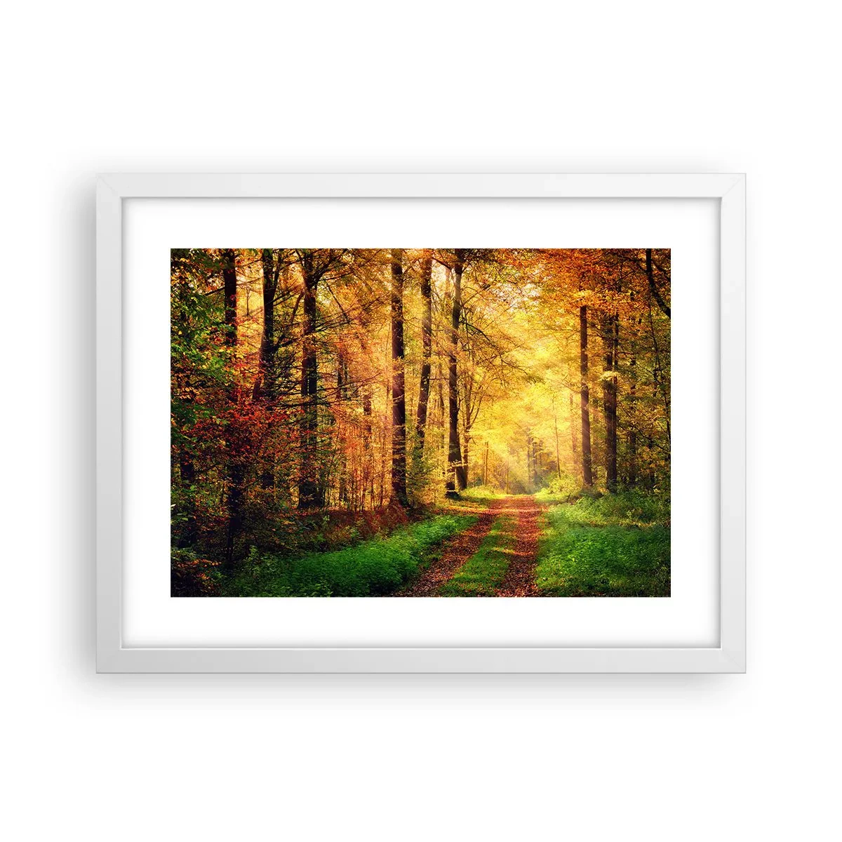 Póster en marco blanco - Silencio dorado del bosque - 40x30 cm