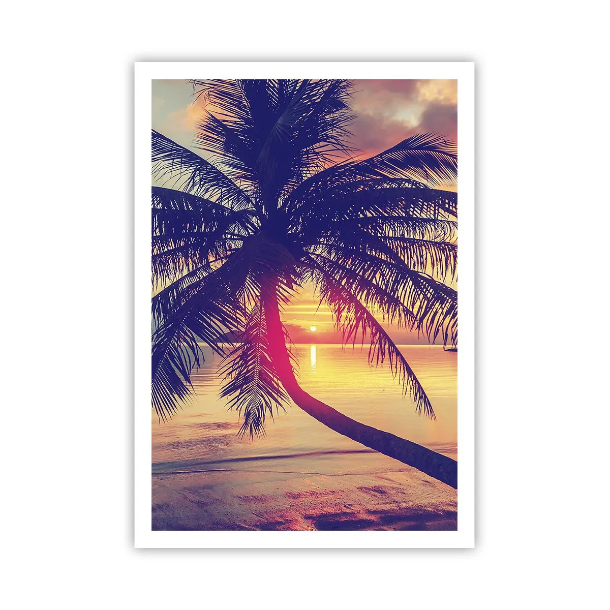 Póster - Atardecer bajo las palmeras - 70x100 cm