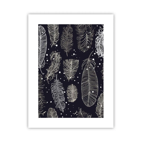 Póster - Encaje de plumas - 30x40 cm