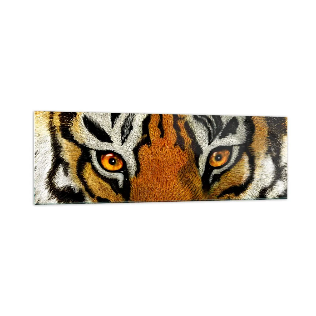 Cuadro sobre vidrio - Impresiones sobre Vidrio - Retrato en primer plano de un tigre con una mirada intensa. - 160x50cm - Amenazante y hermoso - Decoración de pared moderna para salón y dormitorio ARTTOR
