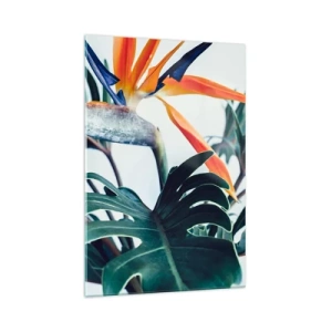 Cuadro sobre vidrio - Impresiones sobre Vidrio - Flor de Strelitzia rodeada de hojas bajo una luz brillante. - 70x100cm - La jaula del pájaro colorido - Decoración de pared moderna para salón y dormitorio ARTTOR
