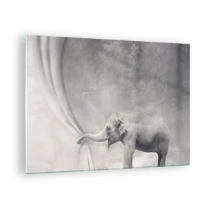 Cuadro sobre vidrio - Impresiones sobre Vidrio - Un elefante en un entorno surrealista con una cortina. - 70x50cm - Revelar el misterio - Decoración de pared moderna para salón y dormitorio ARTTOR